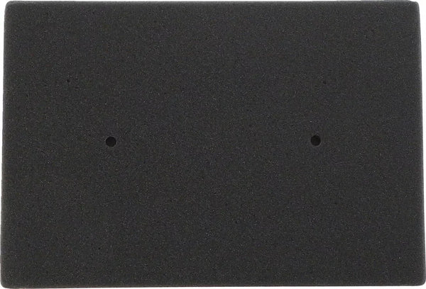 Filtro de aire de EMGO Kawasaki 12-93016