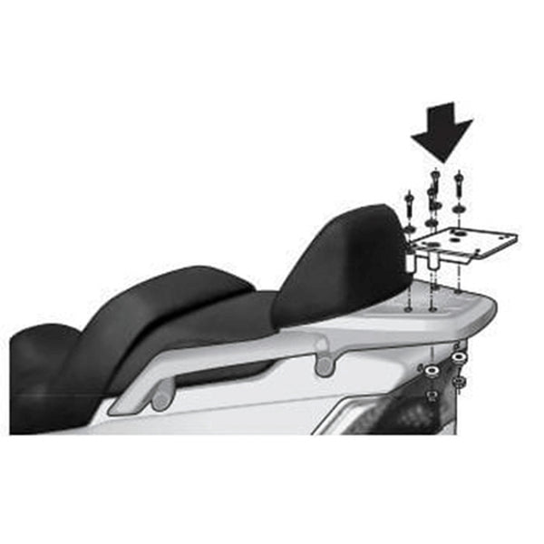 Set de accesorios maestro de sábalo Top - Daelim D0S216st