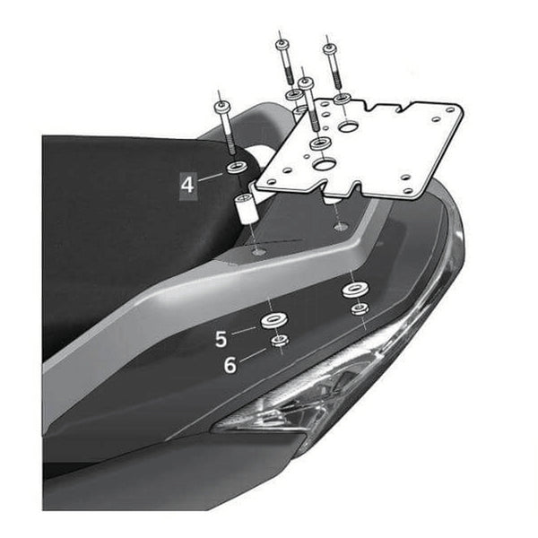 Set de accesorios maestros de sábalo Top - Daelim D0S310st