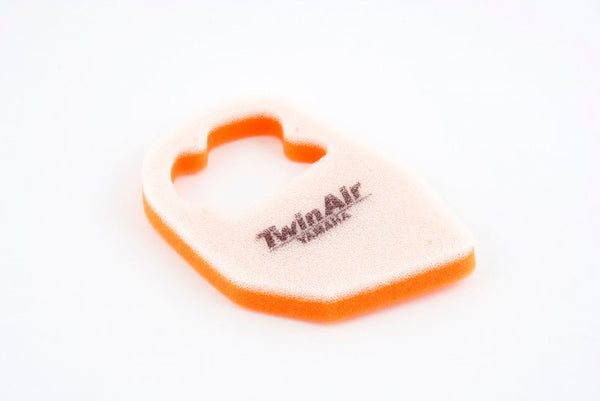 Filtro de aire gemelo - 152379