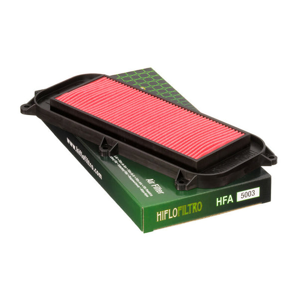 Filtro de aire HIFLOFILTRO - HFA5003 HFA5003