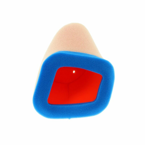 Filtro de aire Tecnium - 0306 1098796