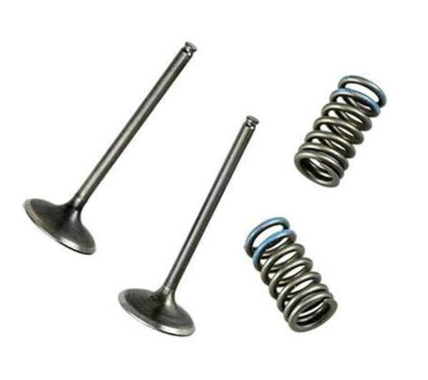 Válvula de admisión de Wössner - Yamaha YZ250F/WR250F VKS4026E -EXH