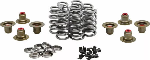 Kibblewhite Beehive Valve Spring Spring Kit 0.640 20-24350