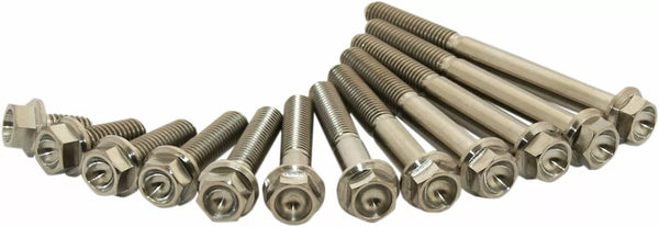 Scar Scar Titanium M6x30 Pack de 2 STIM6X3002