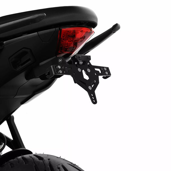 Zieger titular de la matrícula Pro type 10010201