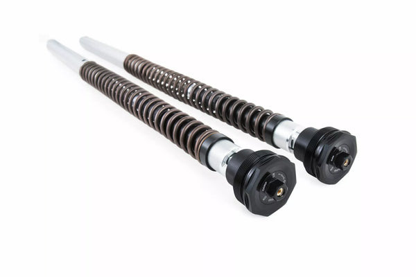 Cartucho de Ohlins Harley-Davidson Soft fks 508
