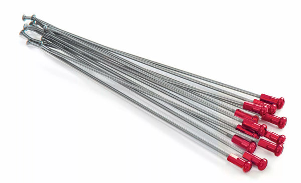 Kite spokes 18 rr si/ro nip 20.909.0.ro