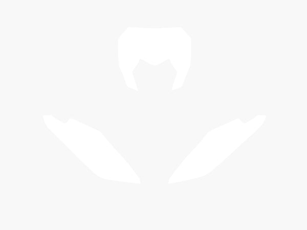 Pegatizas de placa Blackbird White Fantic XX 3F00/000005