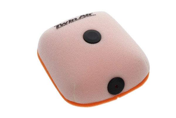 Filtro de aire gemelo - 158161