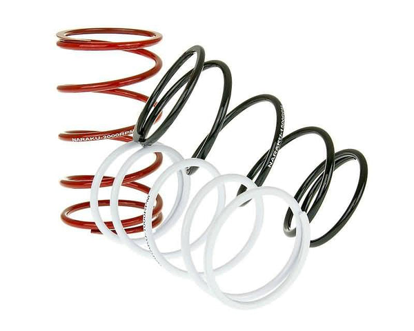 Naraku TRQ Spring Set Sport-3PCS NK900.50