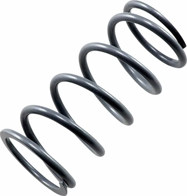 EPI primaria primavera plateado PS-6