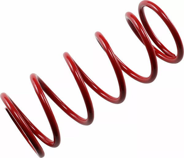 EPI RER SECUNDARY Spring Red Srer2