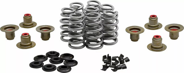 Kibblewhite Beehive Valve Spring Spring Kit 0.640 20-24400
