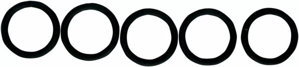 Junta tórica de combustible LWR CheckValve 5PK MC200-5