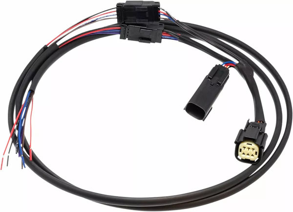 Namz Harness Fender N-RBTH-01